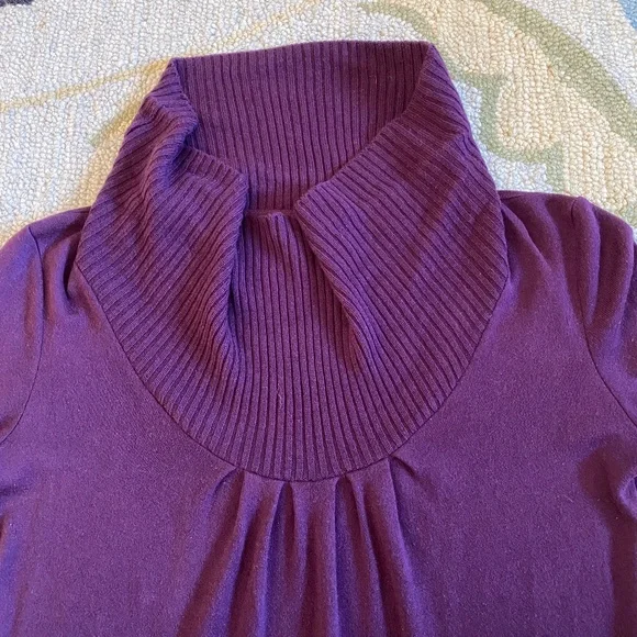 Banana Republic I Purple Cowl Neck Sweater Dress I Holiday 2008 - Picture 9 of 16